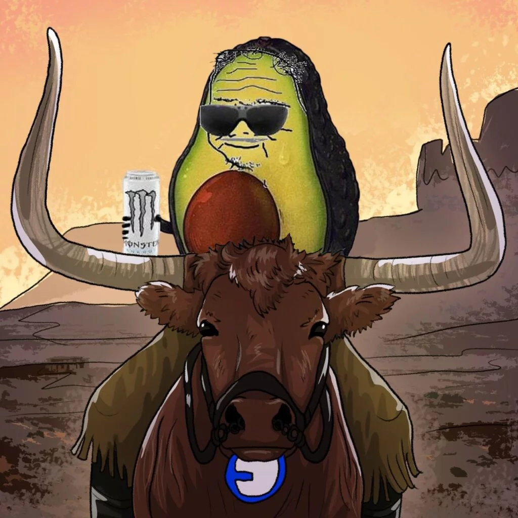 photo_2024-07-24_17-08-20